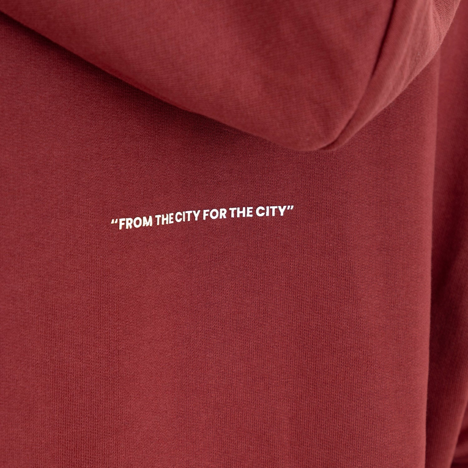 Zip Hoodie Regular Fit Red