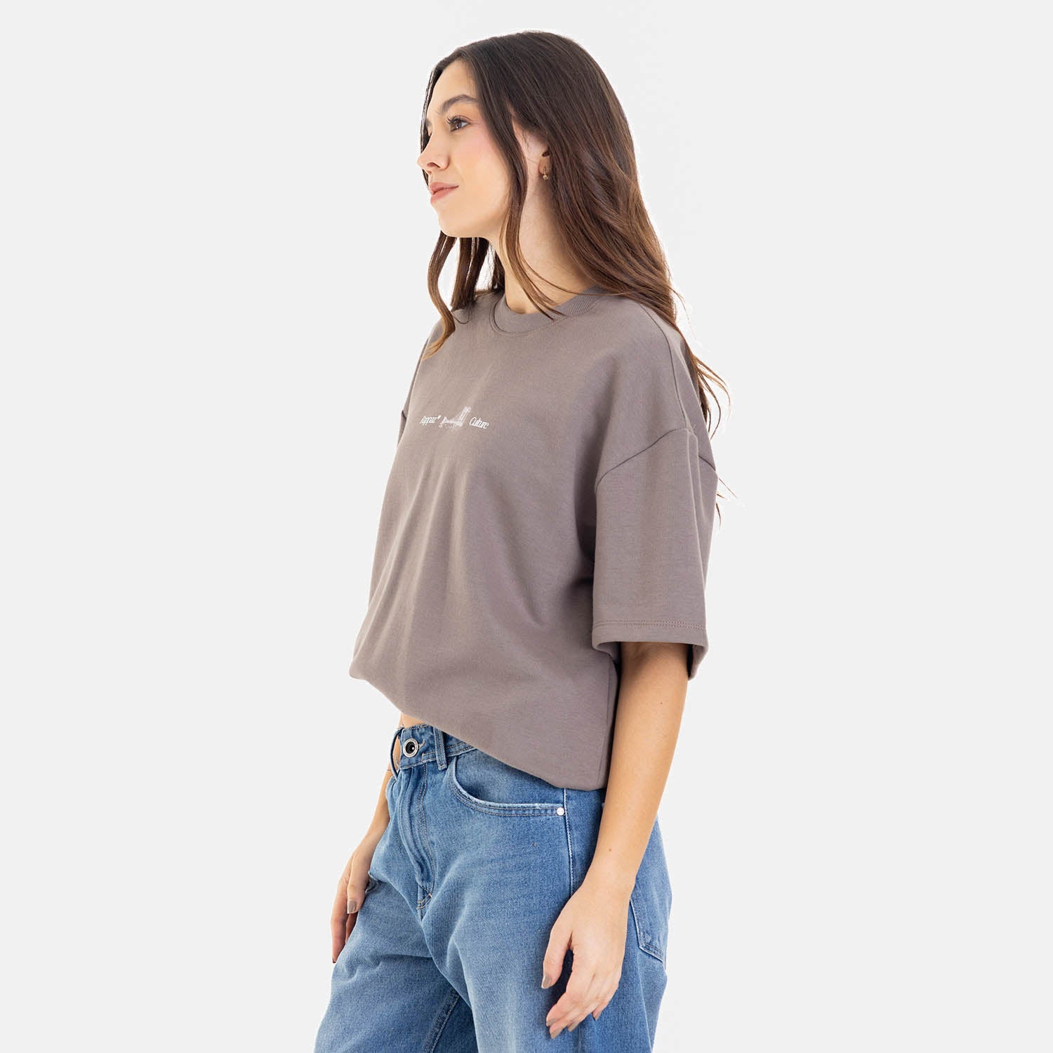 Boxy Fit Tee Brooklyn Bridge Taupe