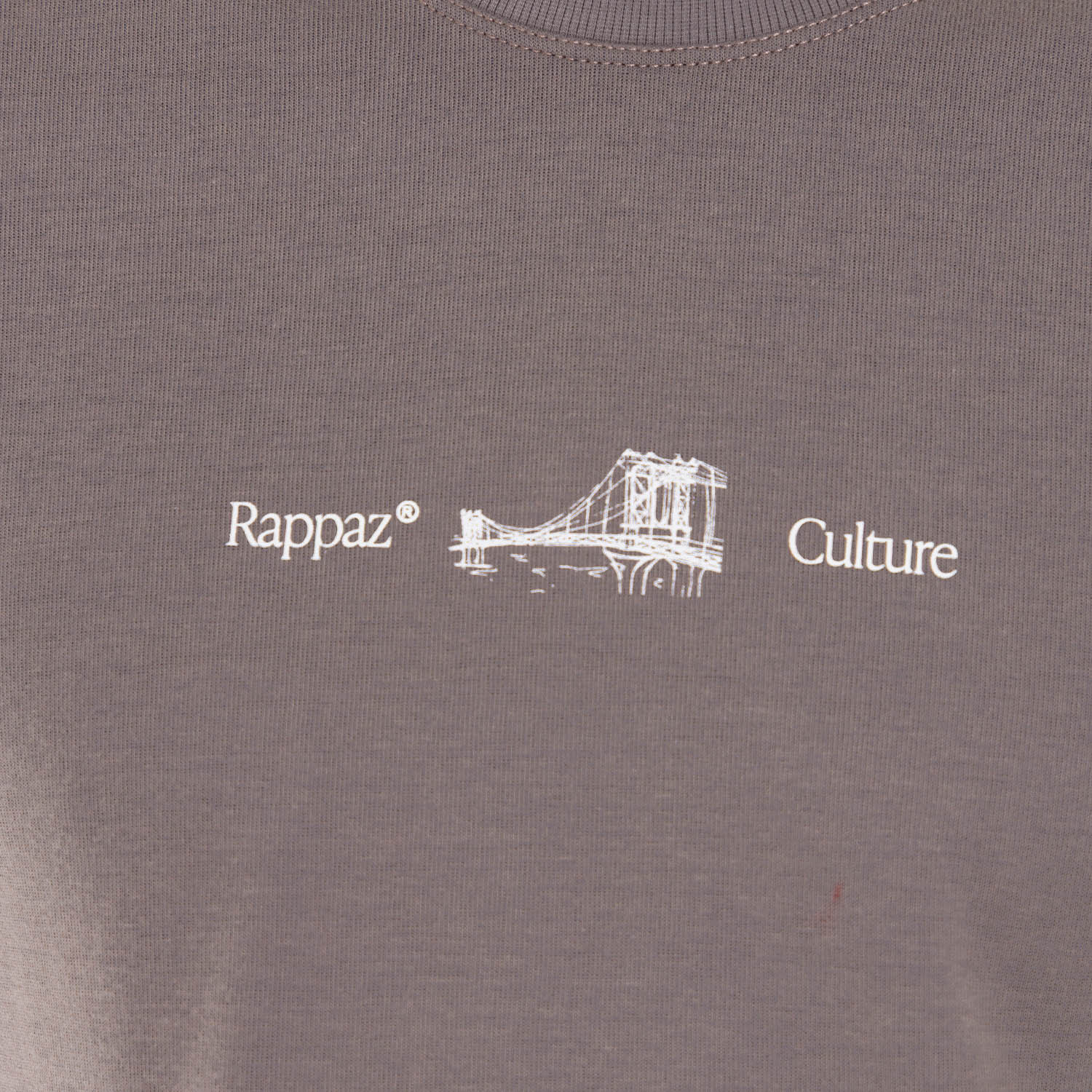 Boxy Fit Tee Brooklyn Bridge Taupe